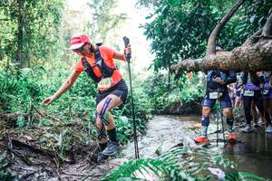 BIB: 
                            <button type="button" onclick="openModal(25466699)" class="btn btn-primary btn-sm float-right btn-popup" data-toggle="modal" data-target=".modal-high-quality">
                        <i class="fas fa-shopping-cart"></i> Add to Cart
                    </button>
                                            <button type="button" onclick="isThisMe(25466699, true)" class="btn btn-success btn-sm float-right btn-popup btn-isme hidden" data-toggle="tooltip" data-placement="bottom" title="นี่คือรูปของคุณใช่ไหม คลิกที่นี่เพื่อเอาเข้าอัลบั้ม">
                        <i class="fas fa-plus"></i> Add to album
                    </button>
                    <button type="button" onclick="isThisMe(25466699, false)" class="btn btn-warning btn-sm float-right btn-popup btn-isnotme hidden">
                        <i class="fas fa-ban"></i> Remove from album
                    </button>